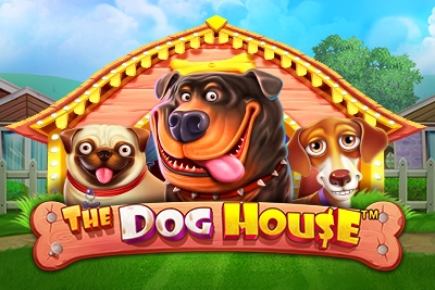 The Dog House Popular Slot 1Win India